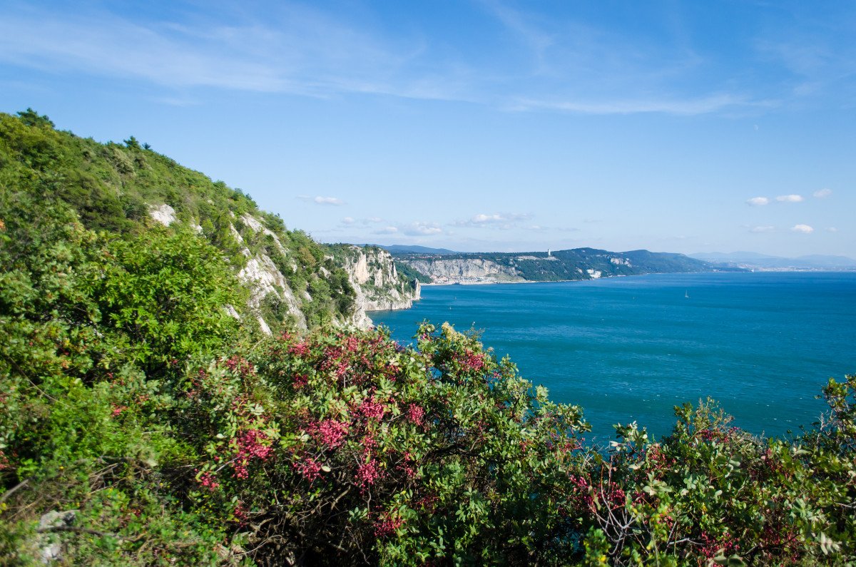 Boat trip between Trieste and Venice during Easter