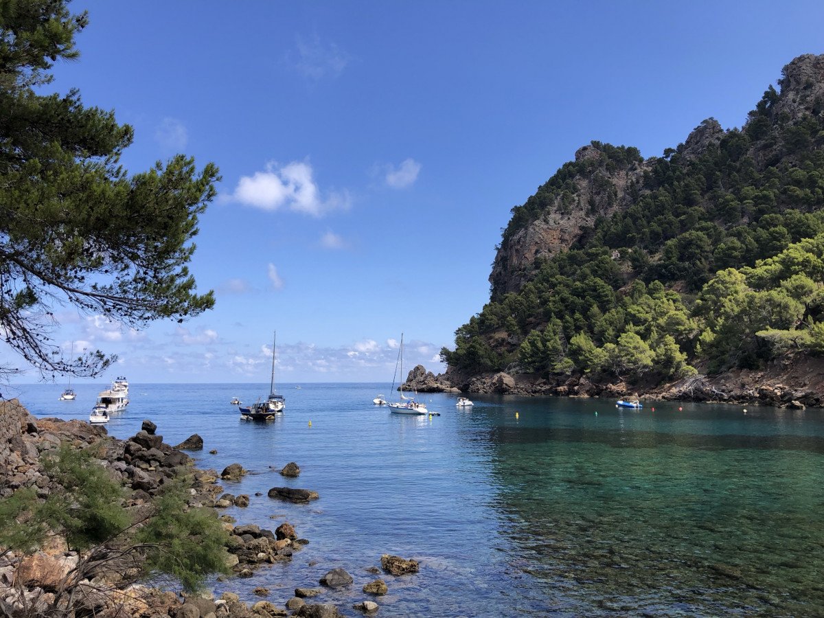 From Mallorca's waters to Valencia on a Tall Ship