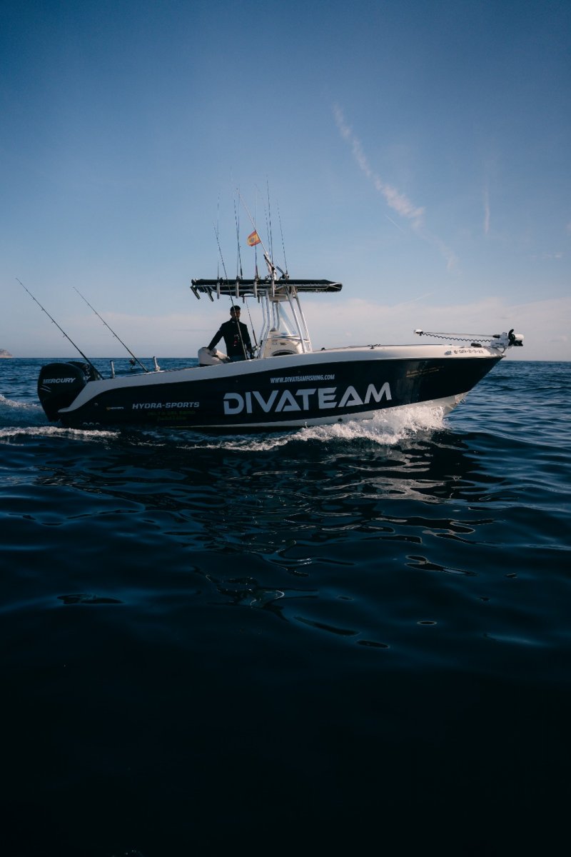 Motore - Hydra-Sports - 7.5 metri