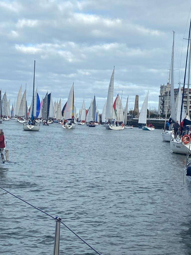 Sailboat in the Gallo Regatta