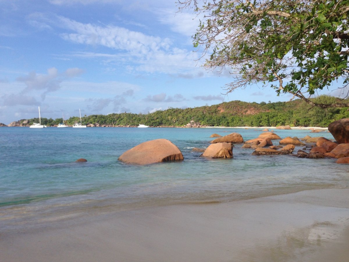 Sailing Course - Master the Art of Navigation