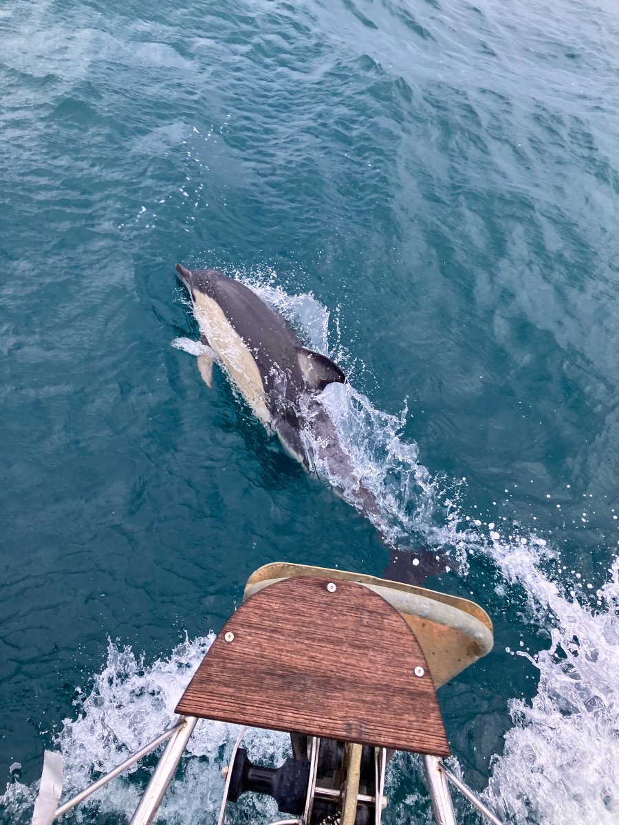 Discovery boat trip in Guadeloupe