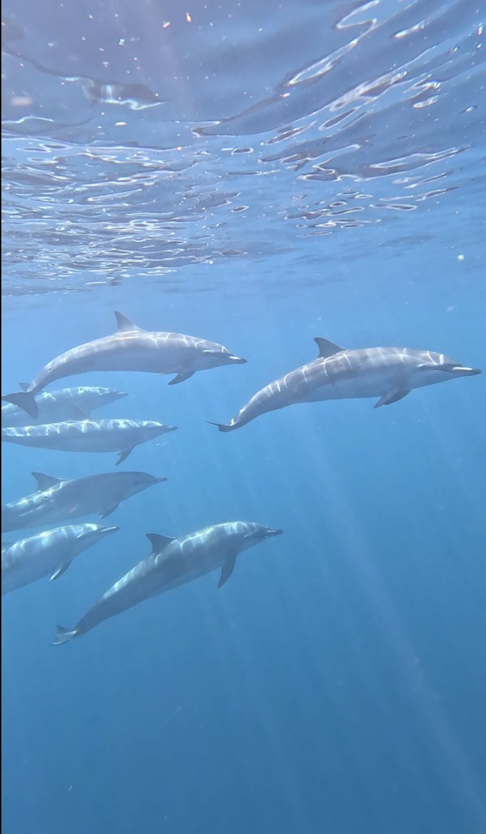 Explore the Atlantic on a sailing trip