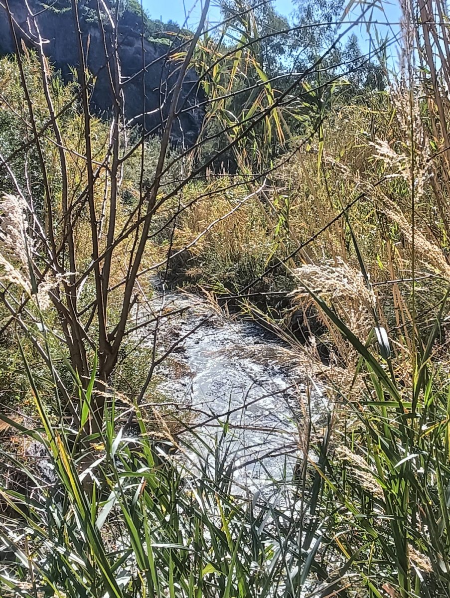 Escursione in barca e vela a Ischia: vela, trekking e panorami spettacolari