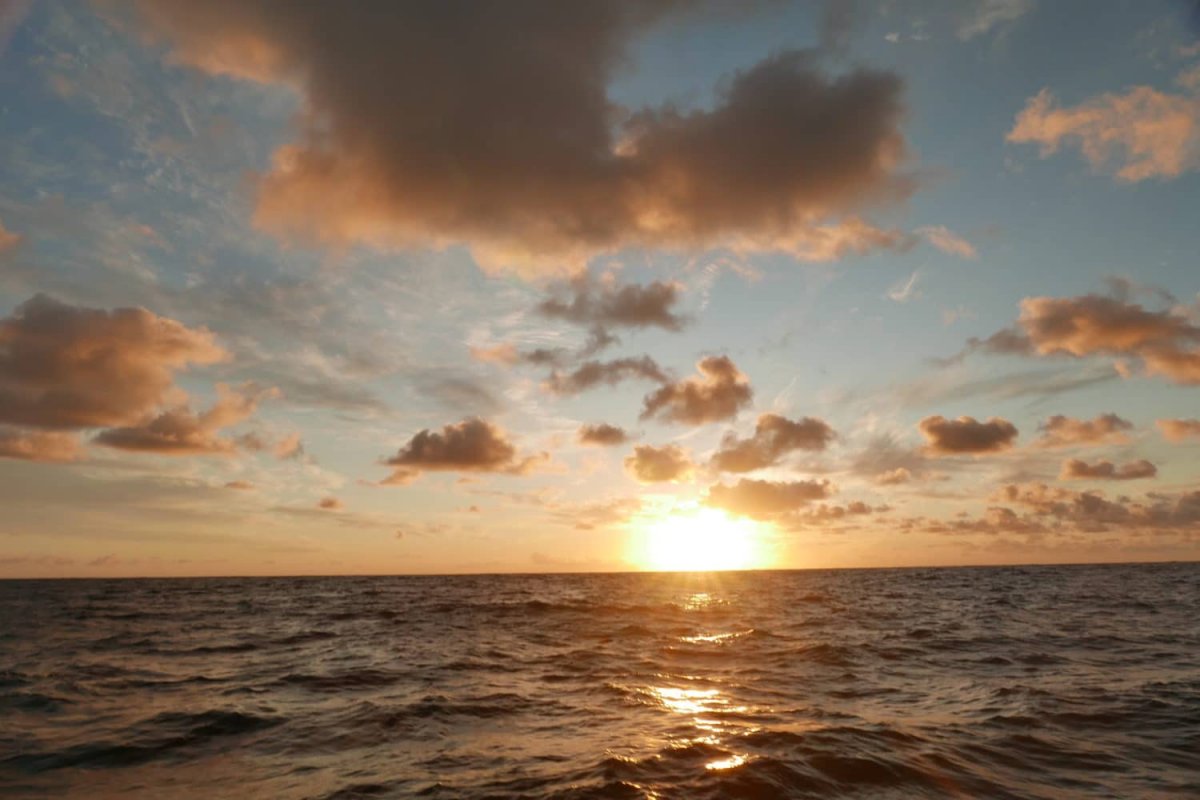 Transatlantic ARC+ Parallel Cruises