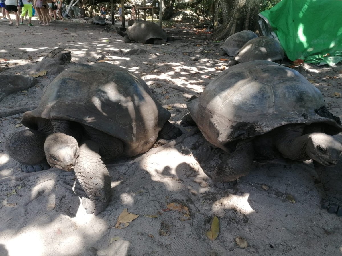 Avventura in catamarano alle Seychelles