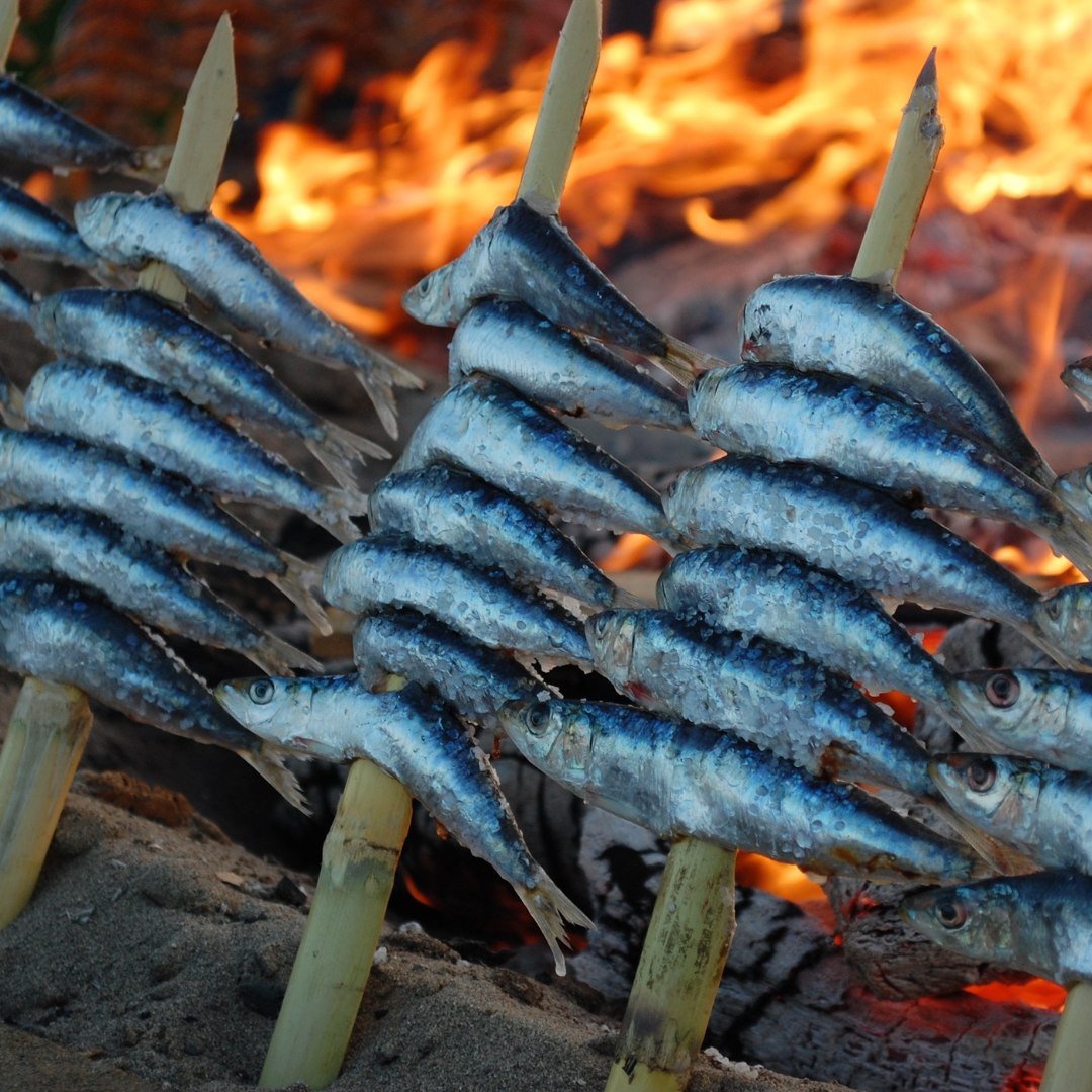 Scappa dalla routine e scopri nuovi orizzonti in un viaggio in barca