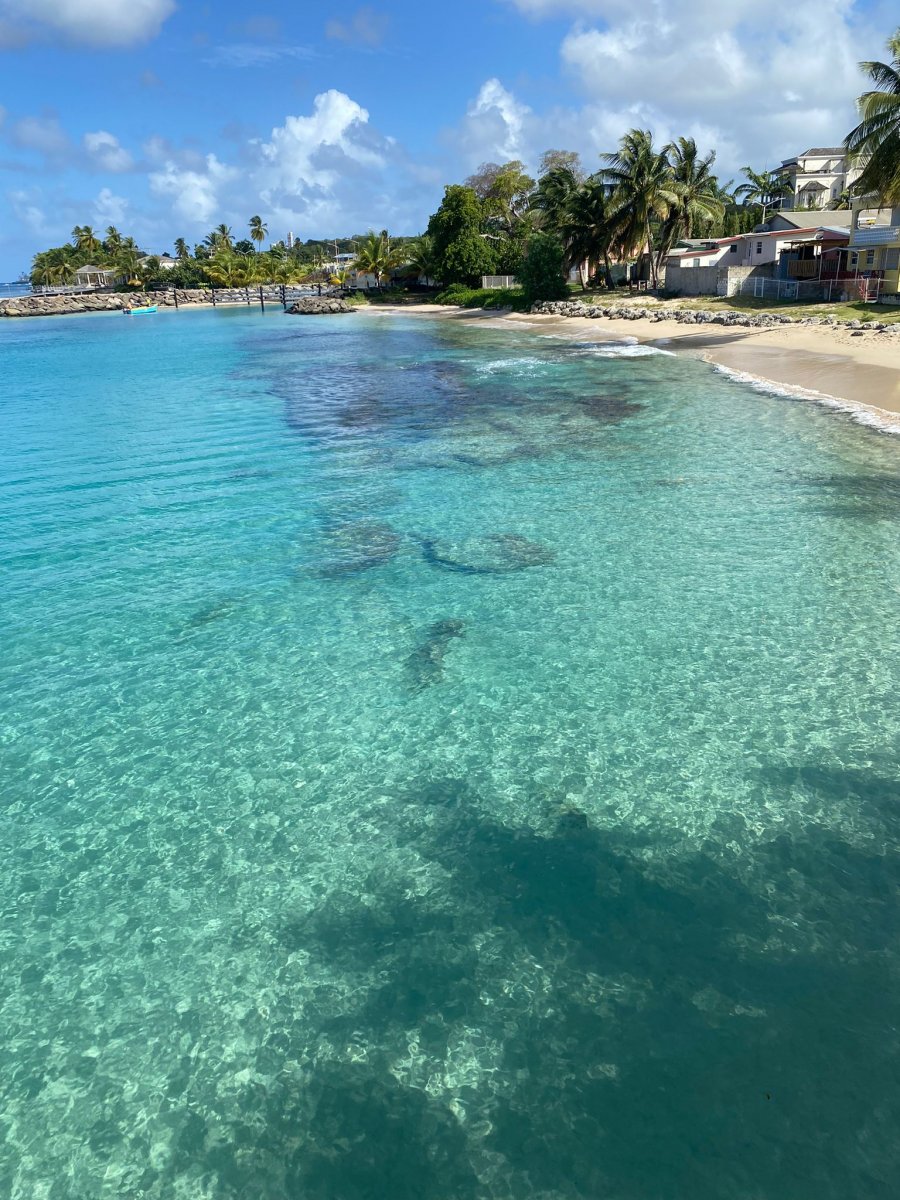 Disfruta de la belleza natural de Mallorca desde el mar