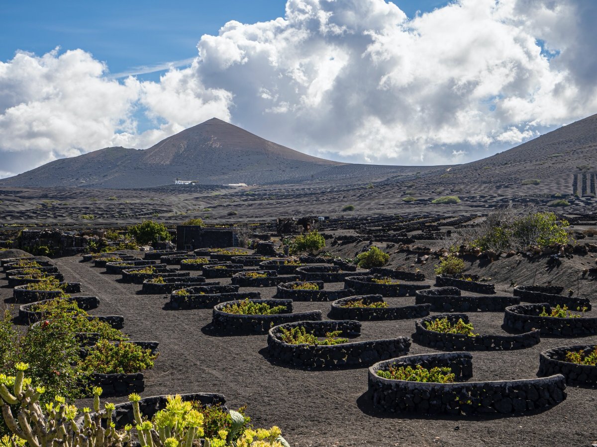 Segeltörn in Lanzarote, La Graciosa und Fuerteventura