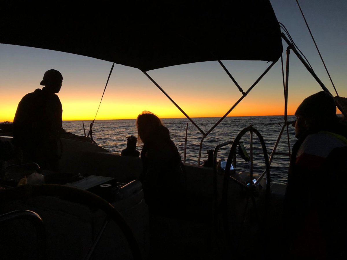 Enjoy breathtaking views on our cruises