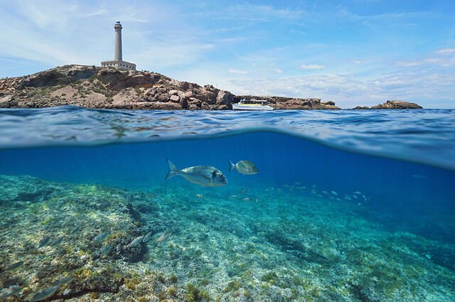 Segelabenteuer von Gran Canaria in die Karibik