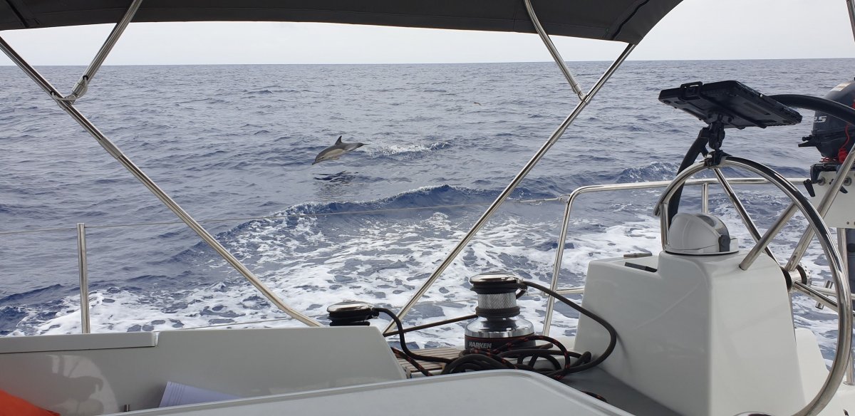 Sailing Experience from Denia to La Manga