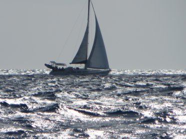 Atlantiküberquerung, von der Karibik zu den Azoren