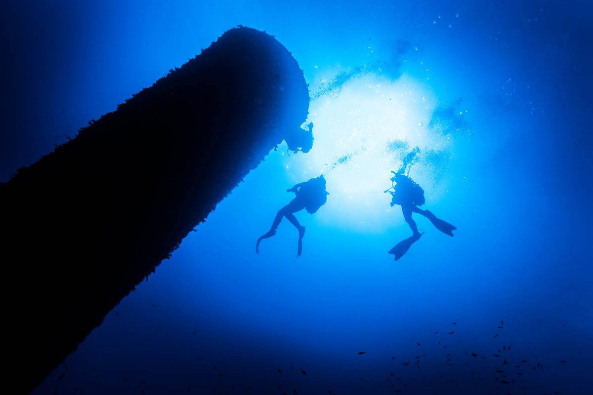 Meeresleben: Kreuzfahrt in Ibiza und Formentera