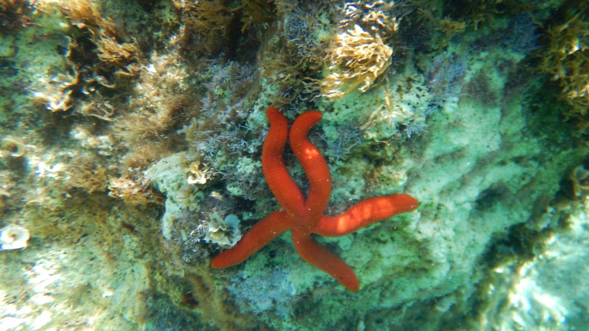 Navigation experience in the marvelous Sporades