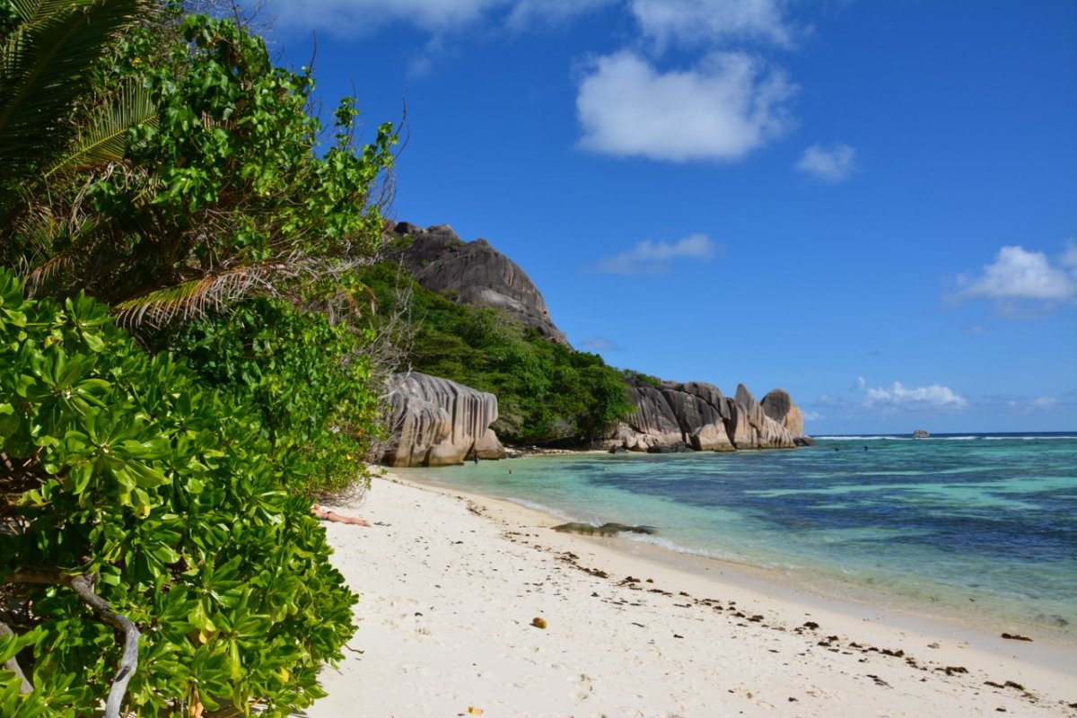 Marine Life Encounter - Swim with the Dolphins