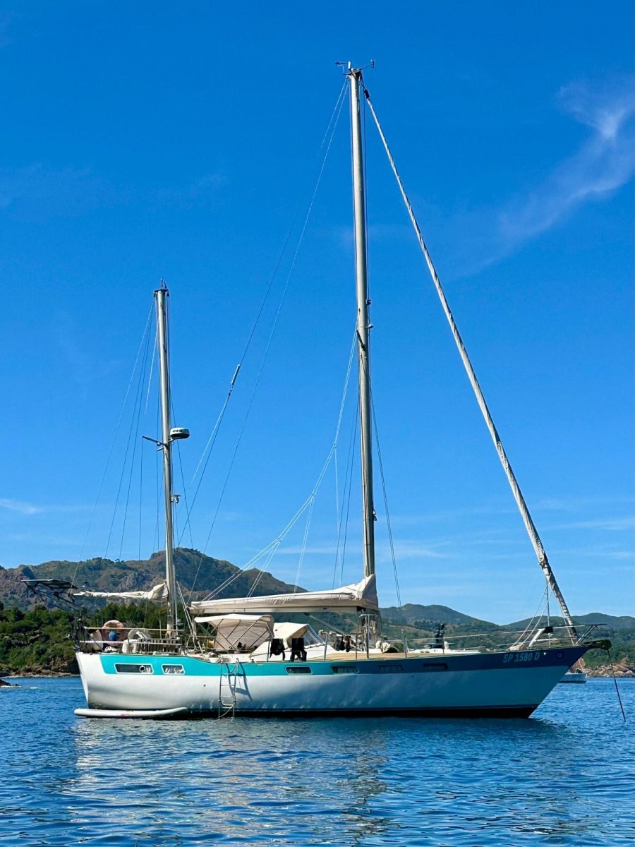 Wauquiez - AMPHITRITE