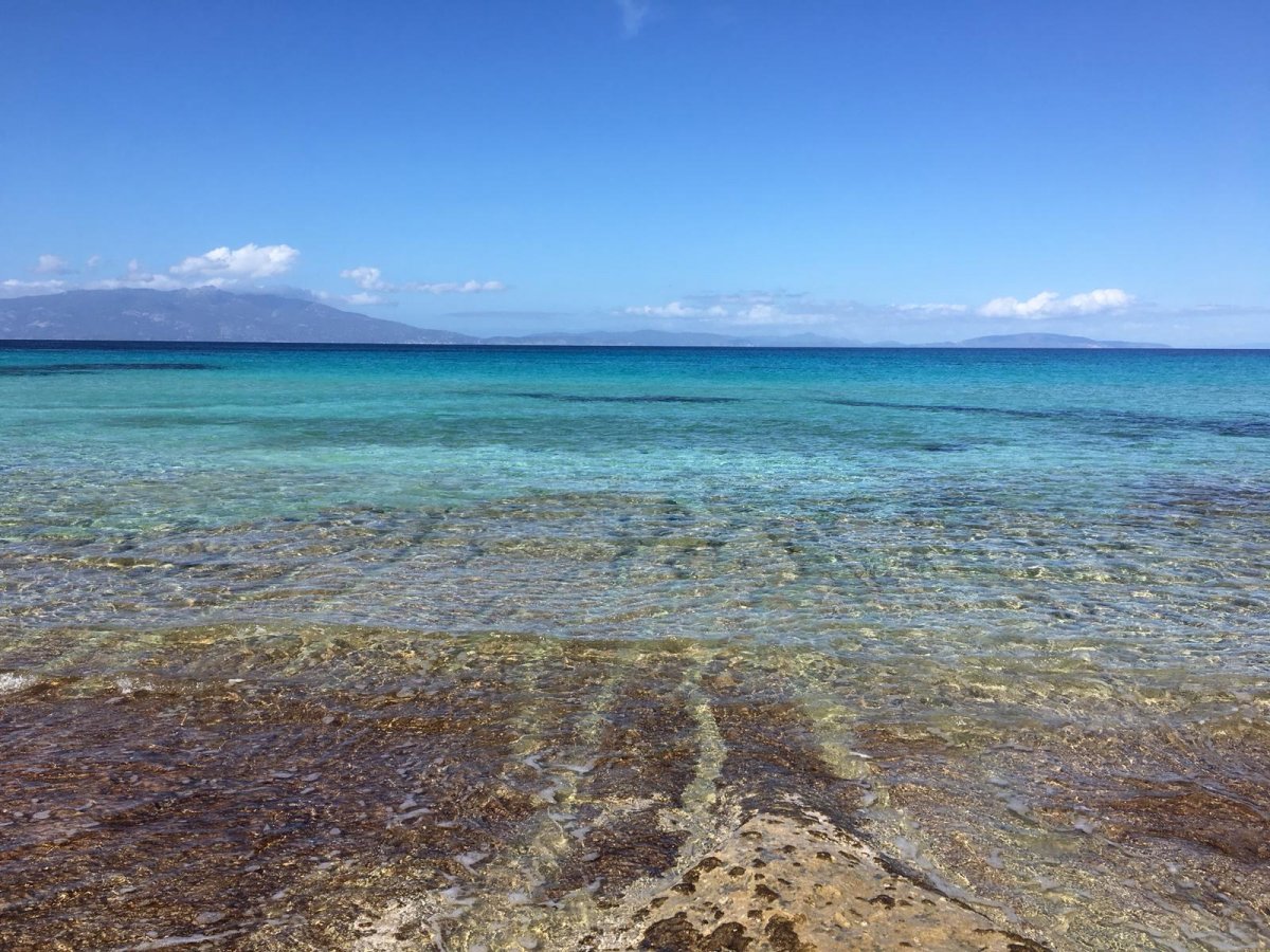 Segelabenteuer zwischen Pianosa, Giglio und Giannutri