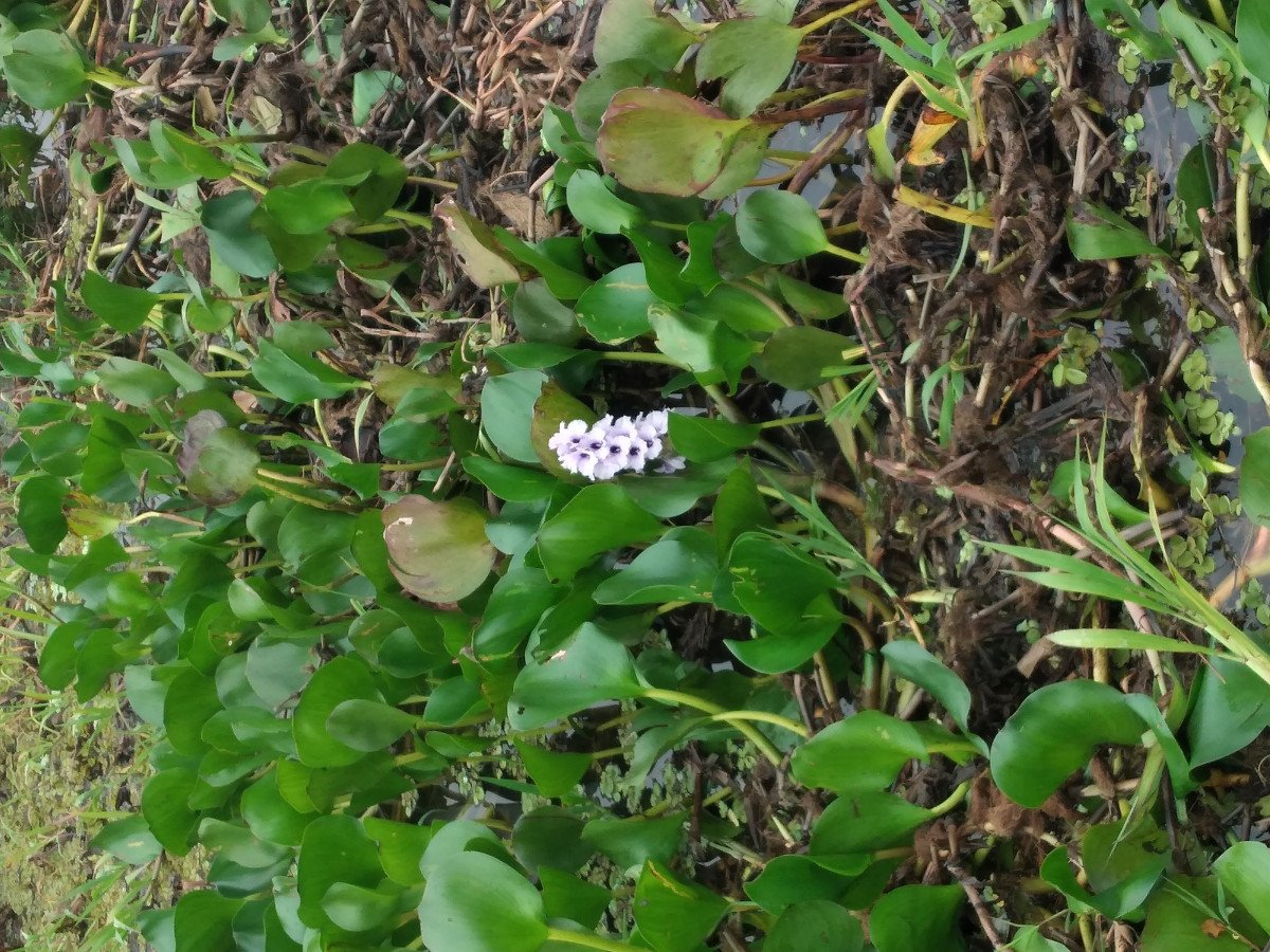 Passagierfähre - Astilleros Construcciones One Off - 2 {{i18n.cabins}}