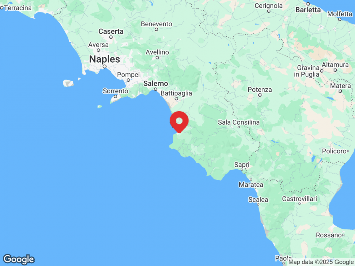 a77a36547a4fa0094156fd2e945e780b