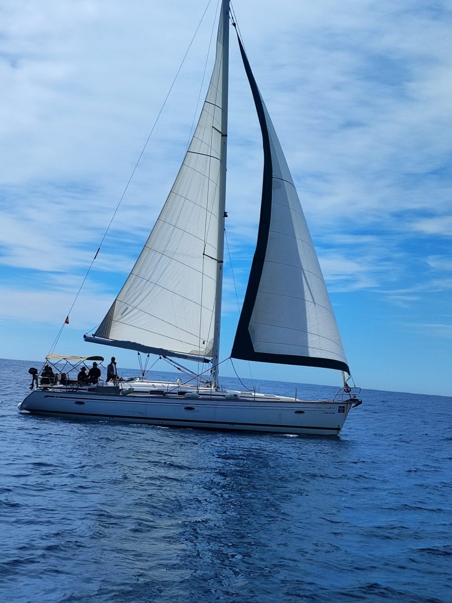 666fc57c4886c2.35635398