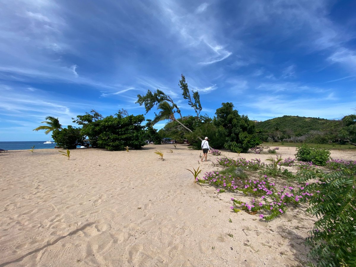 Navega por las aguas cristalinas del Caribe