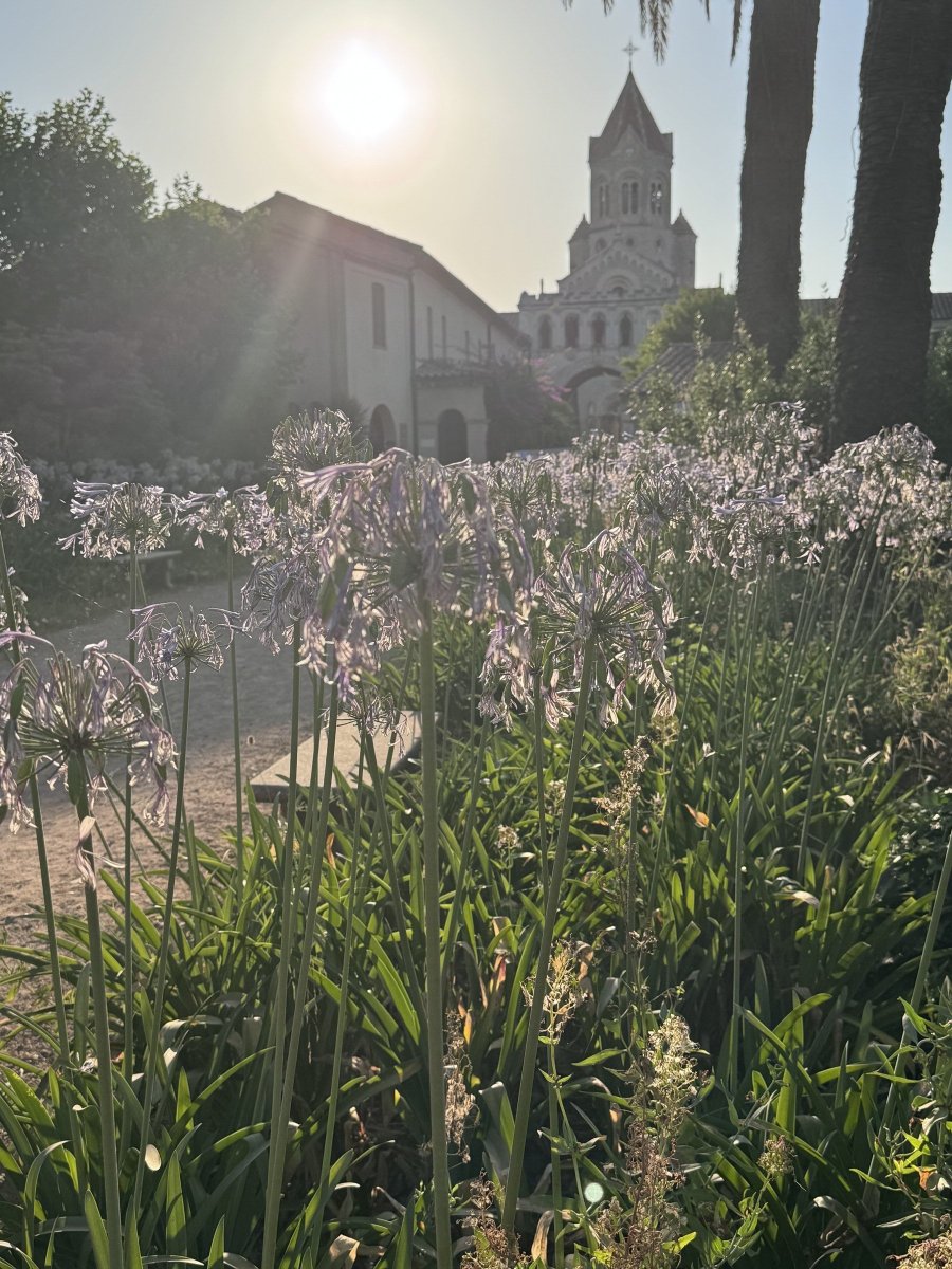 Unvergessliche Segelerfahrung an der französischen Côte d'Azur
