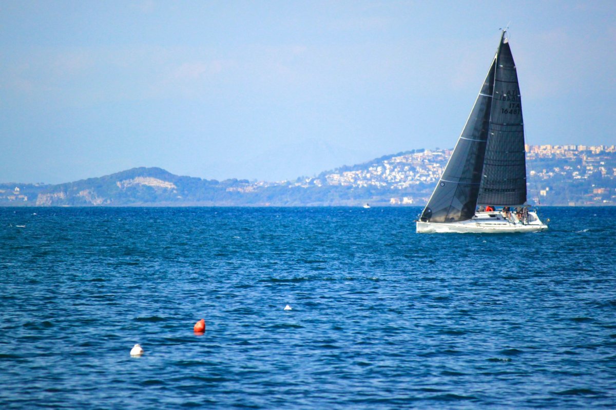 Educational Cruise from Pontine to Flegree: Discovering the Sounds of the Sea and Its Inhabitants