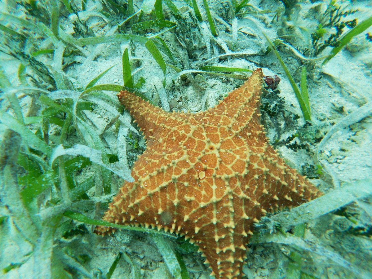 San Blas Aquatrip - Descubre la belleza oculta del Caribe