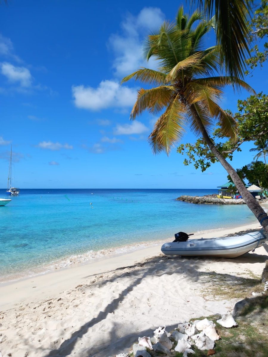 Discover the secrets of the sea in Saint Martin