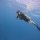IMG-20250520-WA0001