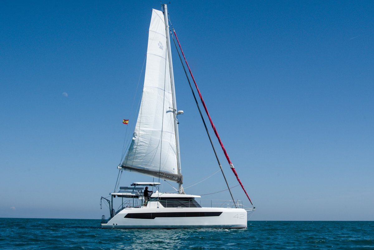 Leopard - Leopard 42