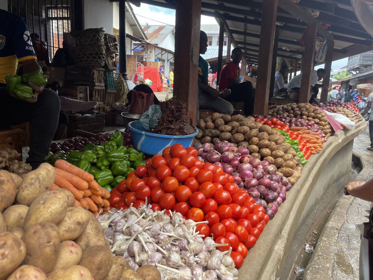 Escursione in barca tra acque paradisiache