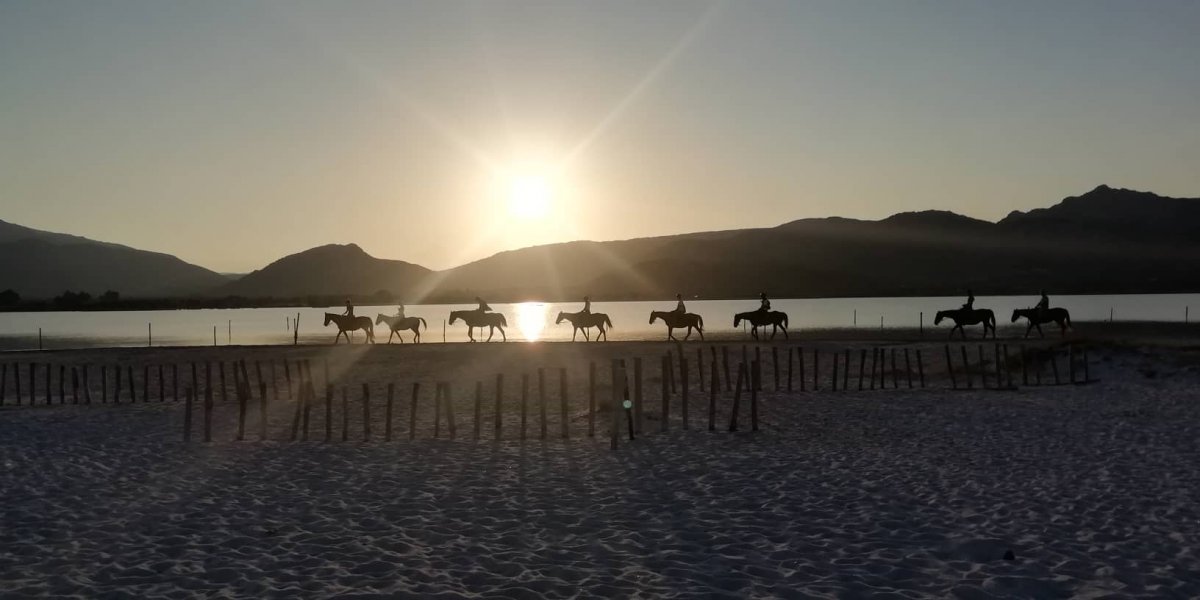 Explore the most beautiful bays and coves of Sardinia.