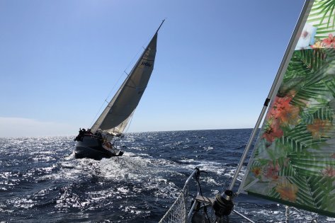 Regata 100 Millas entre islas, disfruta la navegación entre Menorca y Mallorca