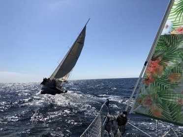 100-Meilen-Regatta zwischen den Inseln, genieße das Segeln zwischen Menorca und Mallorca