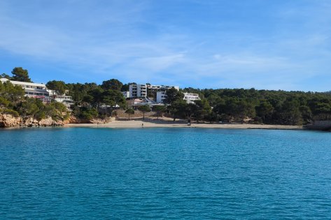 Prácticas Ampliación PER Baleares 24 h en Alicante