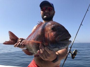 Fishing trip and 2-hour ride from Marbella