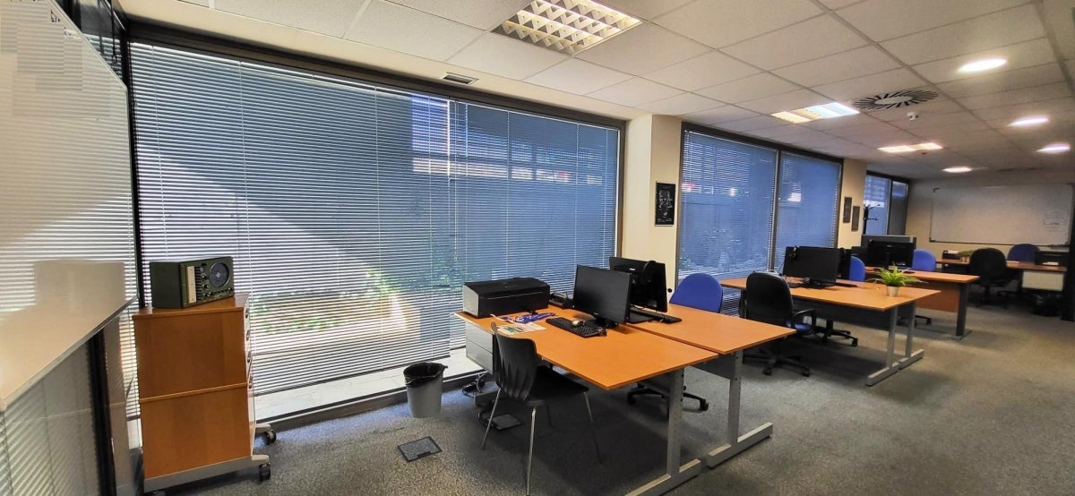 WhatsApp Image 2024-11-12 at 11.57.21