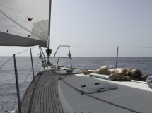 Segelwoche von Catania nach Malta bis Valletta