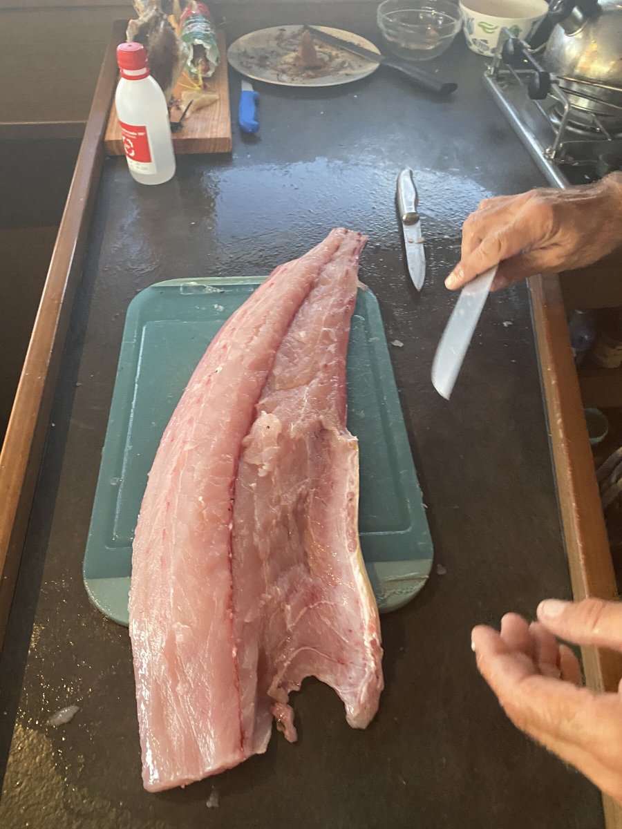 Crossing the Atlantic on a catamaran from Lanzarote to Martinique