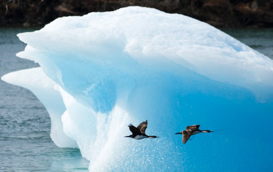 Boat trip on Lake Sarmiento de Gamboa