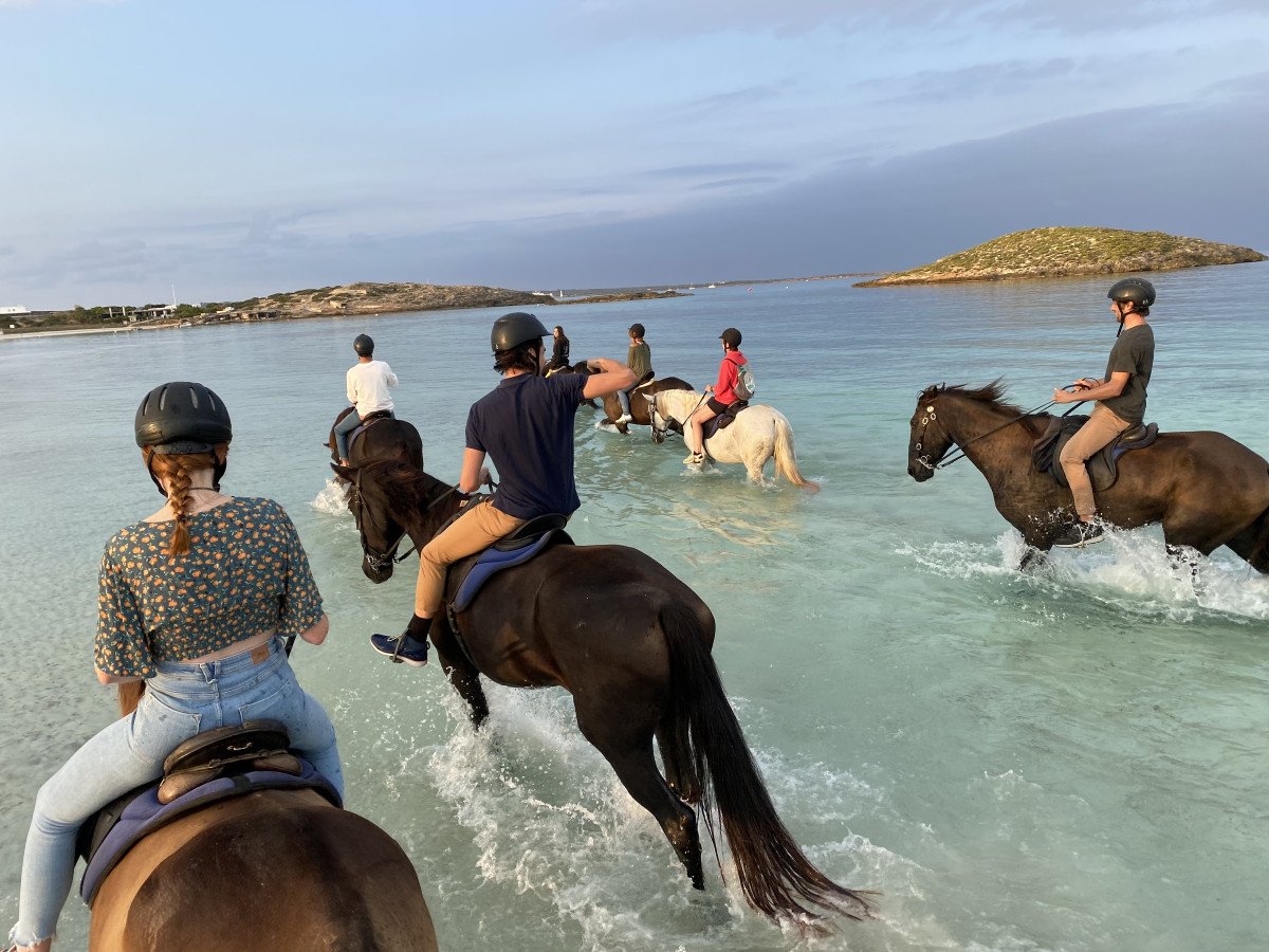 Goditi le viste spettacolari delle isole Baleari in un viaggio di navigazione a dicembre