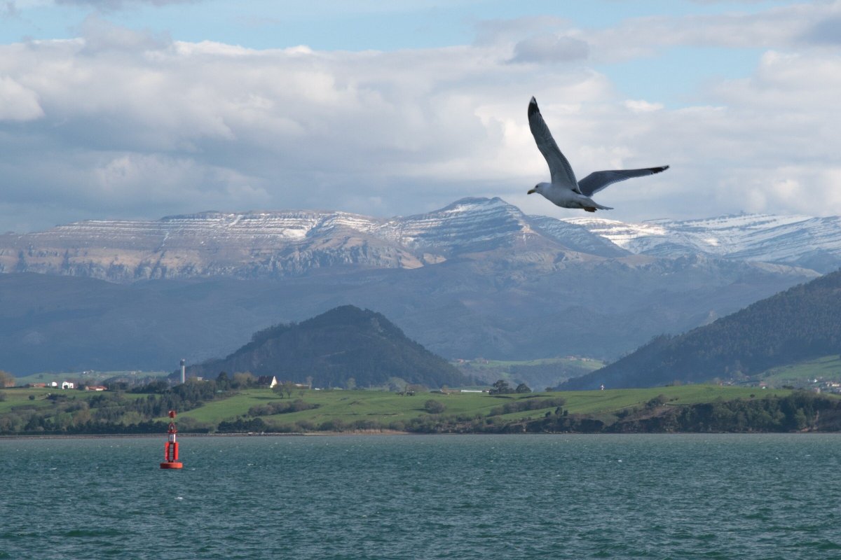 Boat tour in Santander Bay