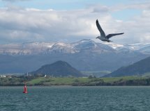 Paseo en barco por la Bahía de Santander
