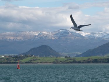 Gita in barca nella baia di Santander