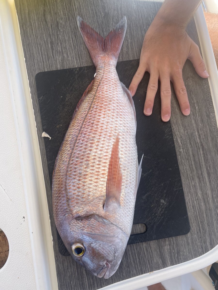 Entspannen und aufregen mit einer Kreuzfahrt durch die Sporaden Inseln