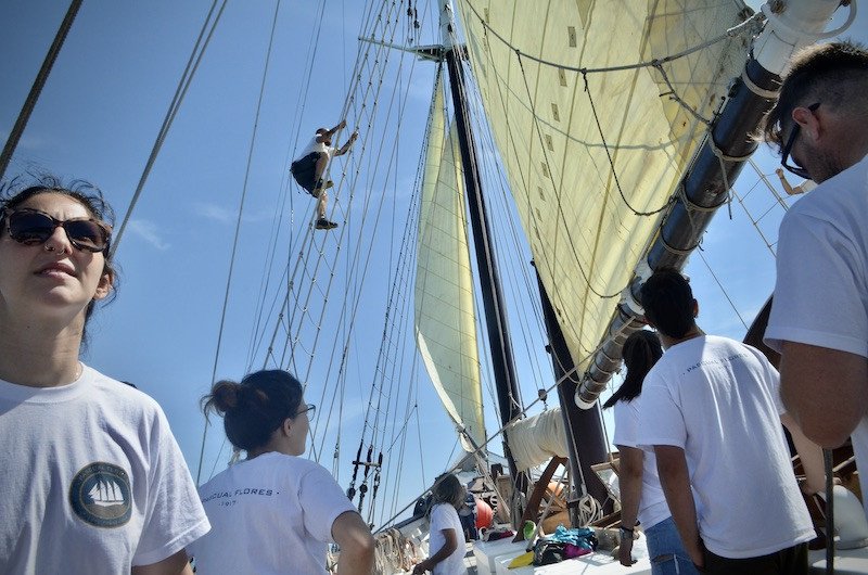 Boat Experience in the English Channel