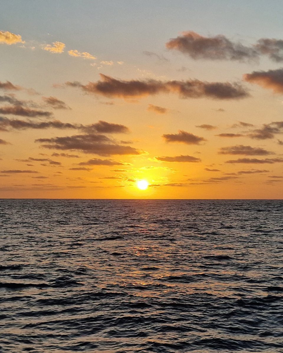 Katamaran auf der Reise von Valencia nach Lanzarote