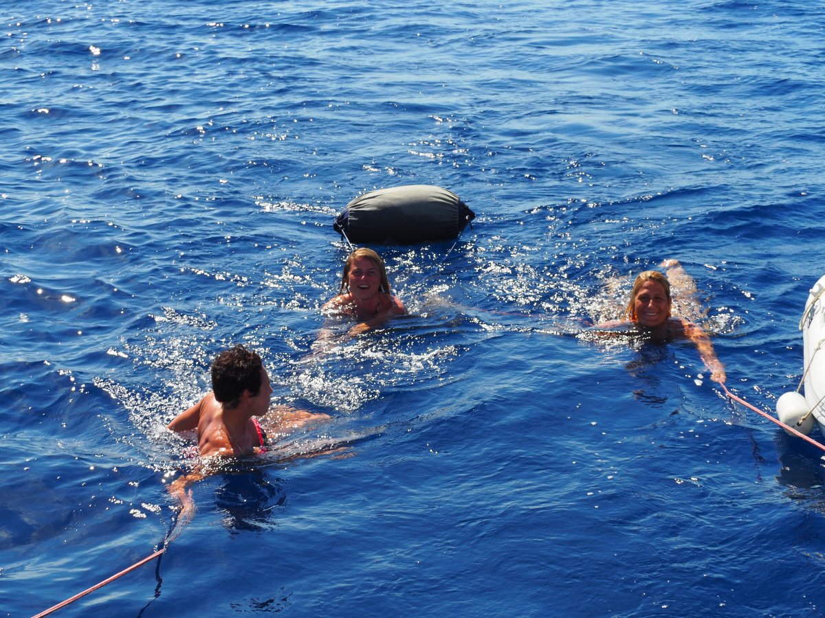 Barche a vela che navigano tra le isole